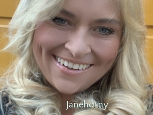 janehorny 1 grosse chatte poilue