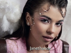 janethande 1 grosse chatte poilue