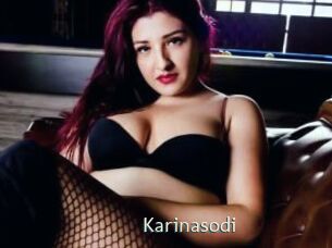 Karinasodi