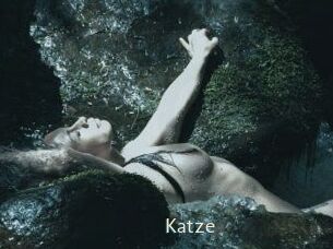 Katze