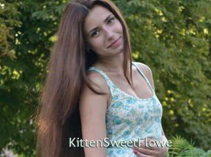 KittenSweetFlowe