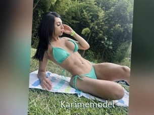 Karimemodel