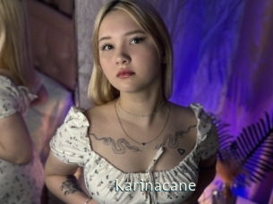 Karinacane