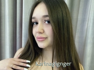Karinagignger
