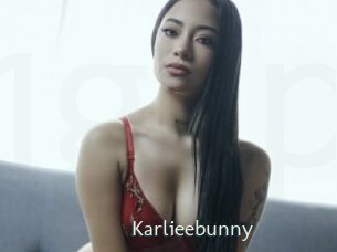 Karlieebunny