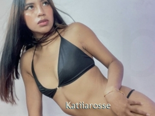 katiiarosse 1 grosse chatte poilue