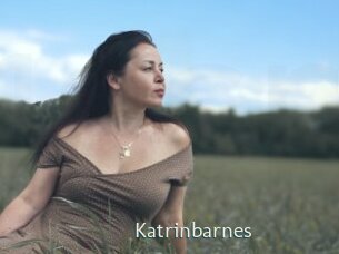 katrinbarnes 1 grosse chatte poilue