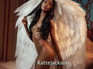 kattejackson 1 grosse chatte poilue