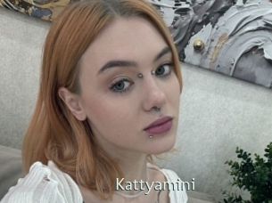 Kattyamini