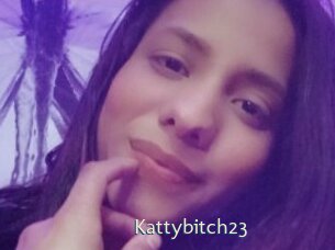 kattybitch23 1 grosse chatte poilue