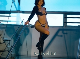 kattyelliot 1 grosse chatte poilue