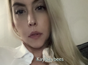 kaybaybees 1 grosse chatte poilue