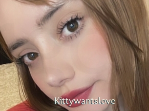 Kittywantslove
