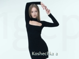 Koshechka_a