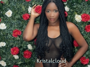 kristalcloud 1 grosse chatte poilue