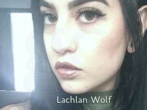 Lachlan_Wolf