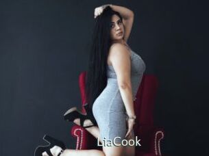 LiaCook 1 grosse chatte poilue