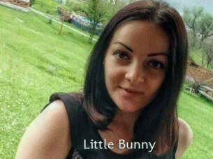 Little_Bunny_