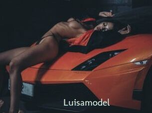 Luisamodel
