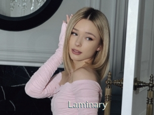 laminary 1 grosse chatte poilue
