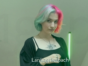 Lanitagriesbach