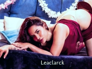 leaclarck 1 grosse chatte poilue