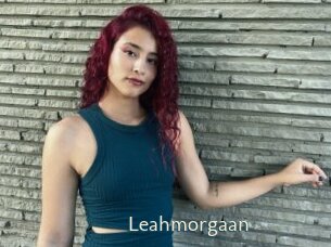 Leahmorgaan