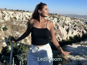 Ledibloom
