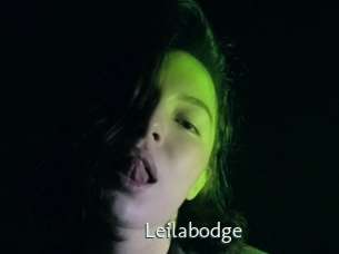 leilabodge 1 grosse chatte poilue