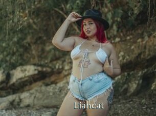 liahcat 1 grosse chatte poilue