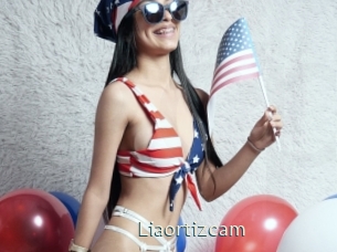 Liaortizcam