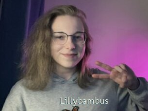 lillybambus 1 grosse chatte poilue