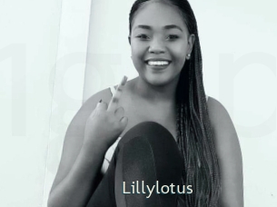 Lillylotus