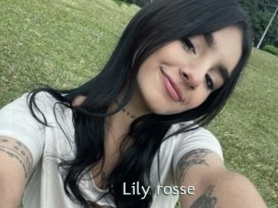 Lily_rosse