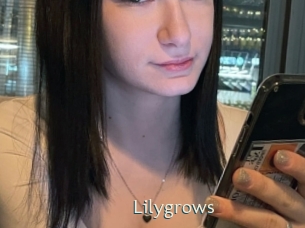 Lilygrows