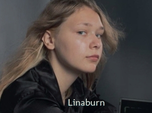 linaburn 1 grosse chatte poilue