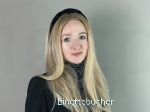 linettebucher 1 grosse chatte poilue