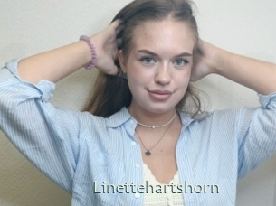 Linettehartshorn