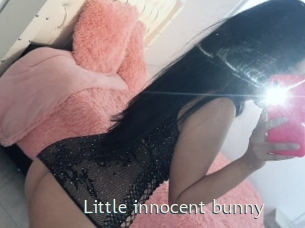 Little_innocent_bunny