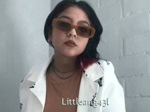 littleang43l 1 grosse chatte poilue