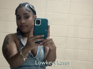 lowkeyykasey 1 grosse chatte poilue