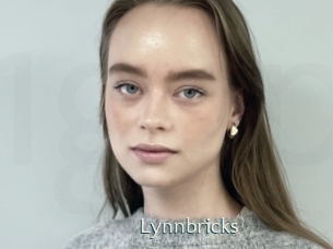 Lynnbricks
