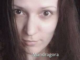 Mandragora
