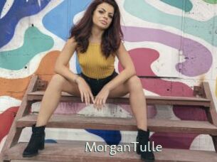 MorganTulle 1 grosse chatte poilue