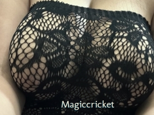 Magiccricket