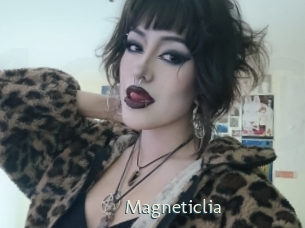 magneticlia 1 grosse chatte poilue