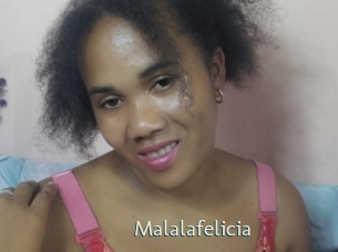 malalafelicia 1 grosse chatte poilue