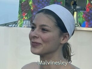 Malvinesley