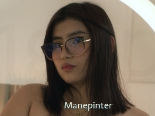 Manepinter