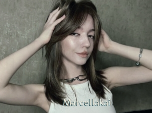 marcellakai 1 grosse chatte poilue
